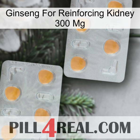 Ginseng For Reinforcing Kidney 300 Mg 25